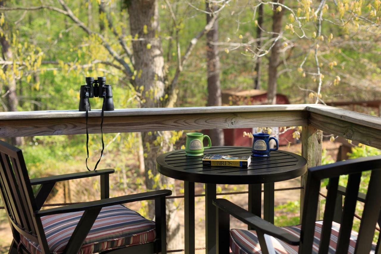 Tiffany'S Bed And Breakfast Bismarck ภายนอก รูปภาพ